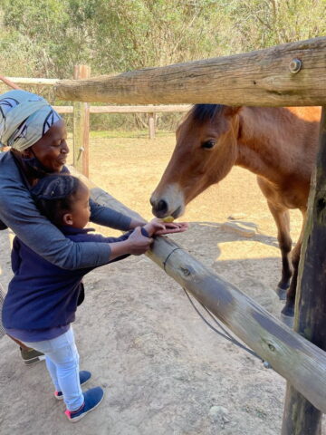 Farming Journey